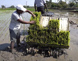 Mahindra-PlantingMaster-Paddy-4RO