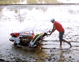 Mahindra Rice Transplanter MP461