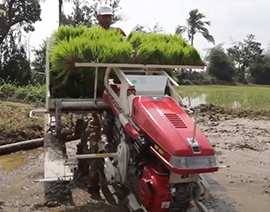 Tamil-Video