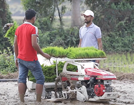 Telugu-Video