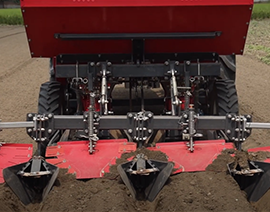 ZIG-ZAG PLANTING